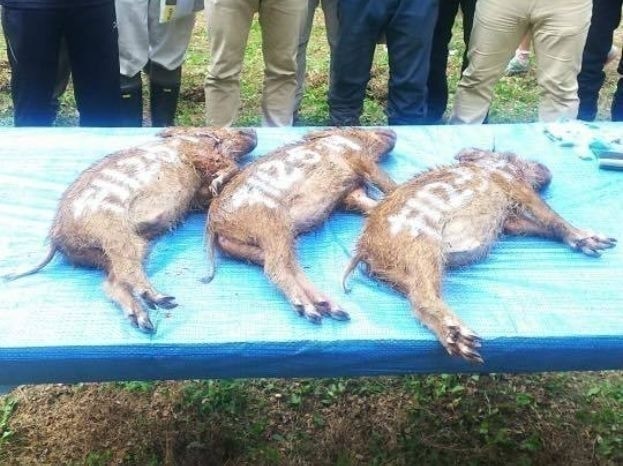 滋賀県 神奈川県 鳥害獣駆除