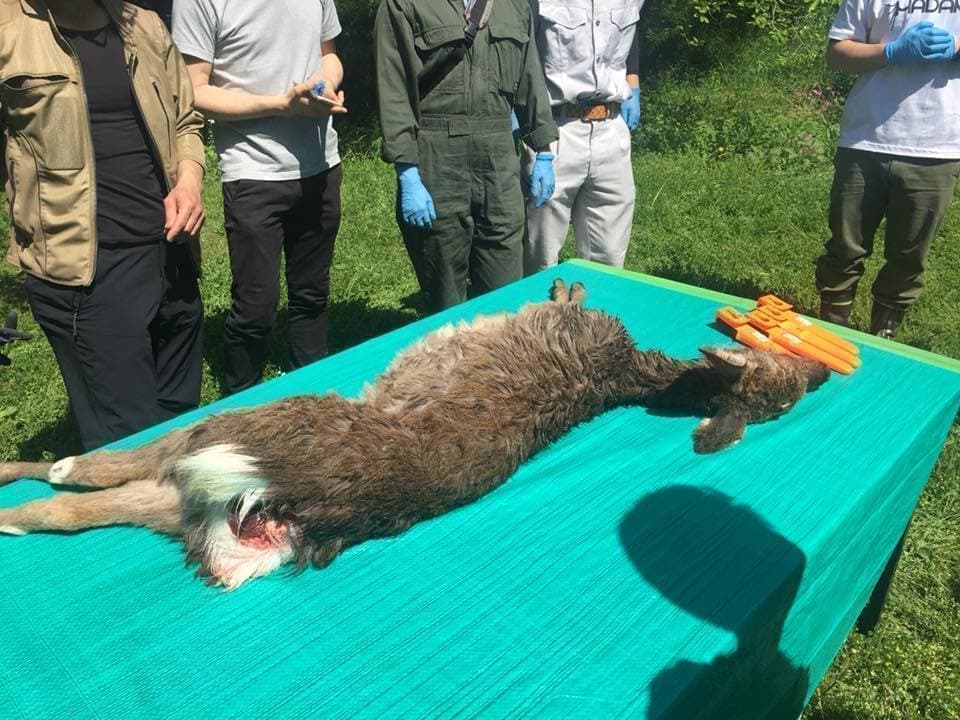 滋賀県 神奈川県 鳥害獣駆除