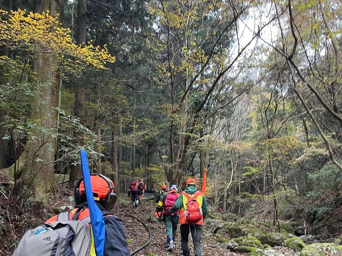 鳥害獣対策は滋賀県甲賀市のスリーディーサーベイプラスにご相談ください