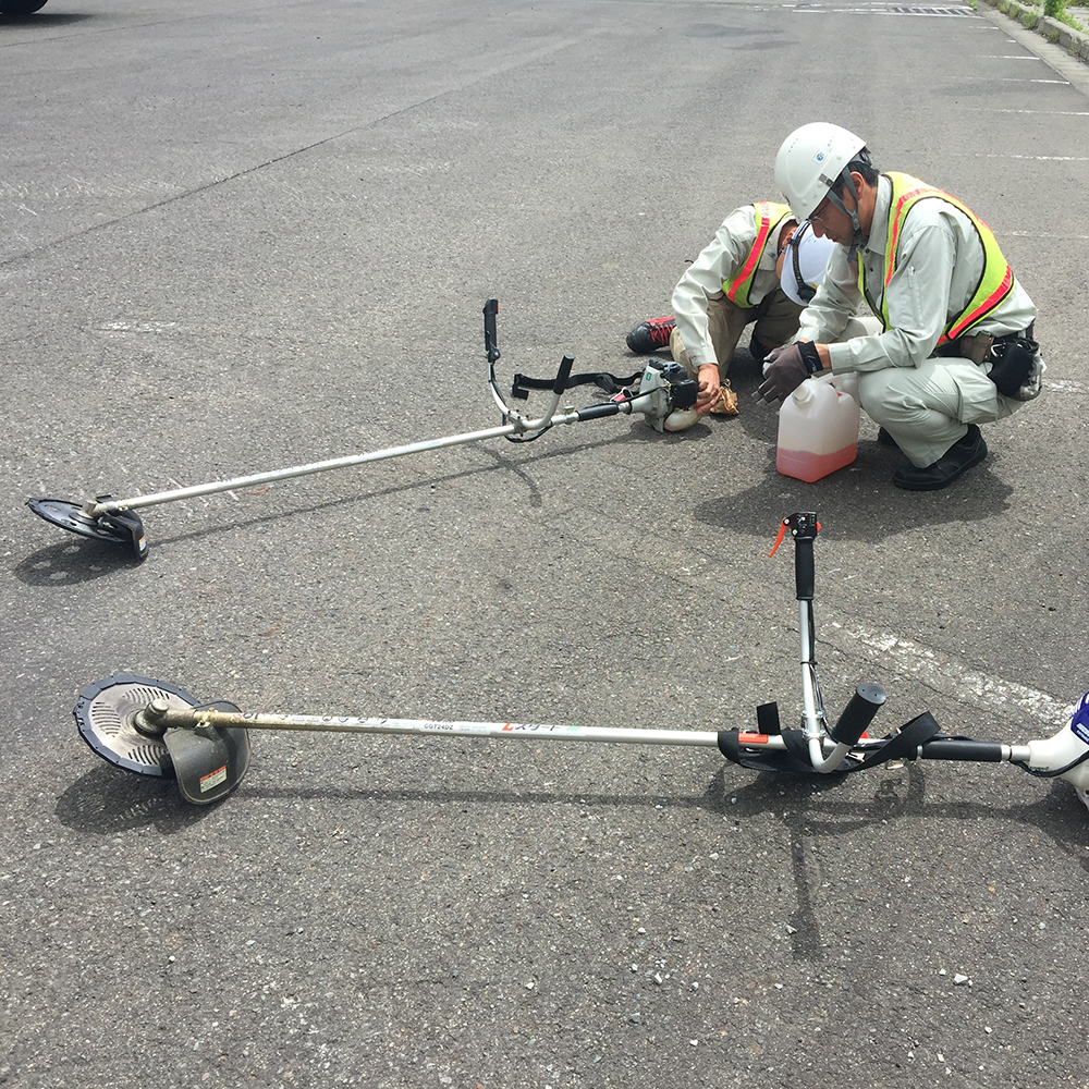 3DSurveyplus