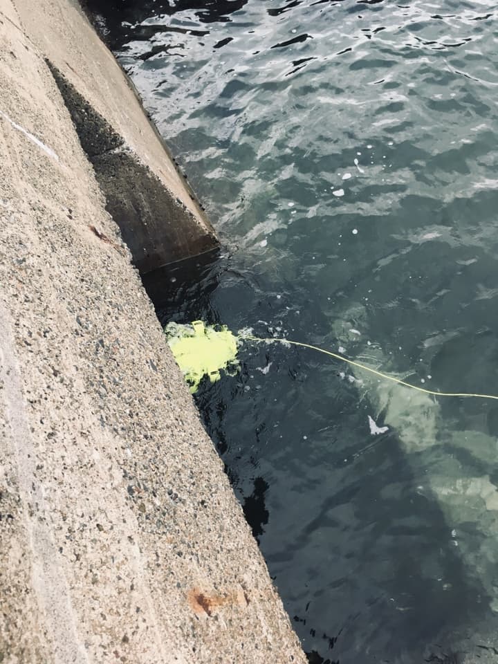 水中ドローンで構造物の亀裂、破損、浸食、劣化、腐食、傾き、土砂堆積などの早期発見が期待できます